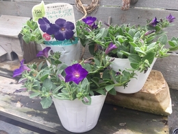 201905092707.jpg