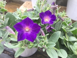 201905092711.jpg