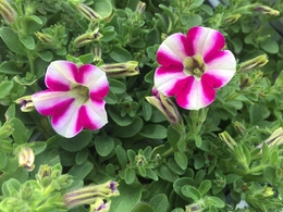 201905092735.jpg
