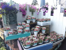 201905092754.jpg