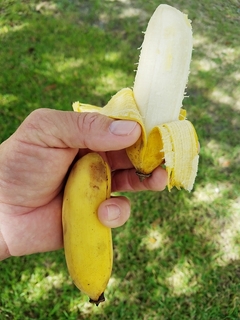 icecreambluebanana20190502.jpg