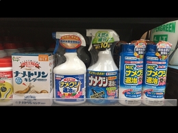 201905273245.jpg