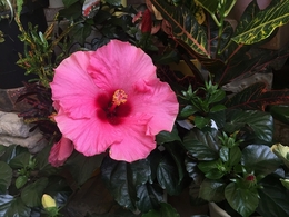 201906023235.jpg