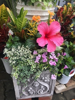 201906023287.jpg