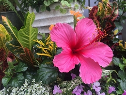 201906023291.jpg