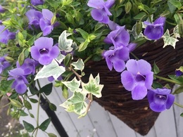 201906023313.jpg