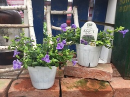 201906023330.jpg