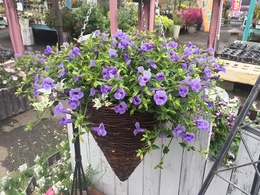 201906023348.jpg