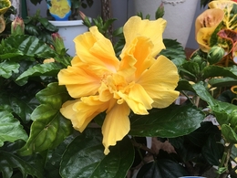 201906023356.jpg