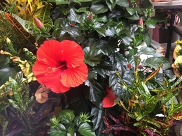 201906023359.jpg
