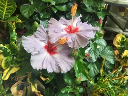 201906023363.jpg