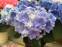 201906052574.jpg