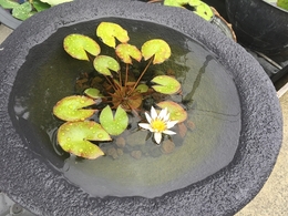 201906153565.jpg