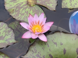 201906173584.jpg
