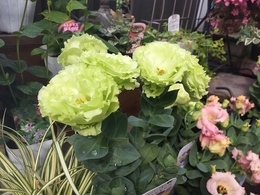 20190928134706.jpg