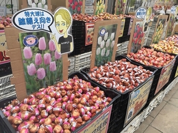 20190929154735.jpg