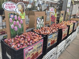 20190929154745.jpg