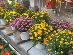 20191001164769.jpg