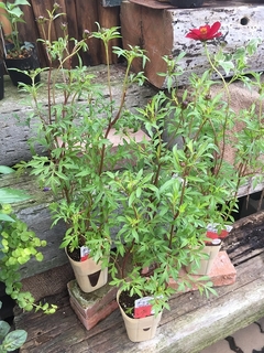 20191008114874.jpg