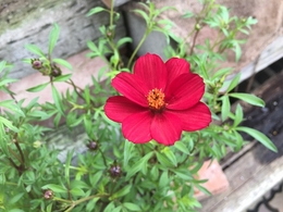 20191008114877.jpg