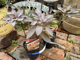 20191024130035.jpg