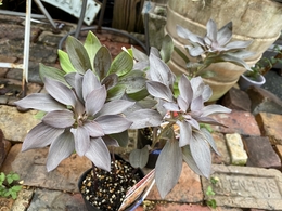20191024150038.jpg