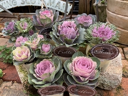 201911270624.jpg