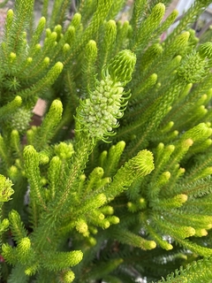 20191203112025.jpg