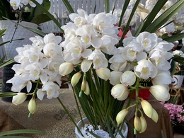201912040809.jpg
