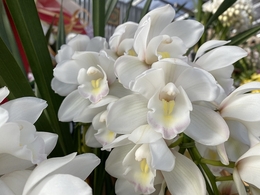201912040827.jpg