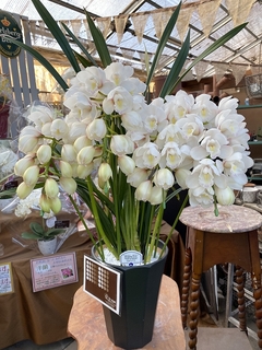 201912040836.jpg