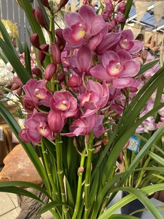 201912120963.jpg