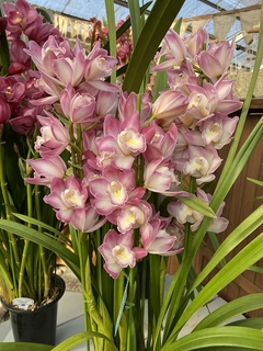 201912120966.jpg