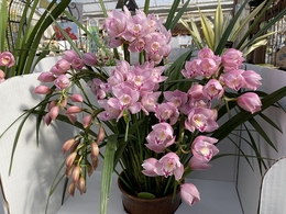 201912120975.jpg