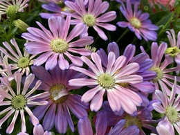 20200201091762.jpg