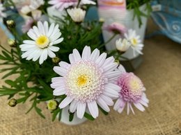 202016002687.jpg