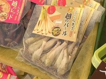 ハイブリッドらっきょう『越のパール』