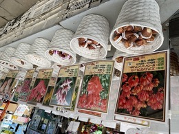 20201001082505.jpg