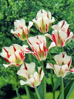20201008092030.jpg