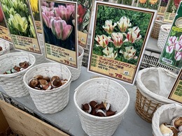 20201008092510.jpg