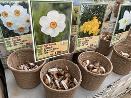 20201008093545.jpg