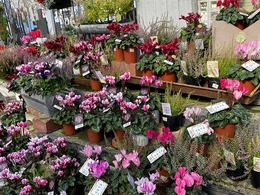 20201030090001.jpg
