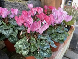 20201030090510.jpg