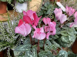 20201030091015.jpg