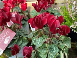 20201030094550.jpg