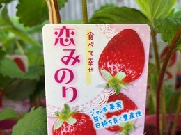 koiminori2020102203.jpg