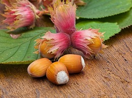 20210114102zellernot01.jpg