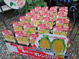 IMG_20210912_090834.jpg
