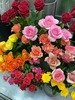 10月おすすめ「バラの切り花」