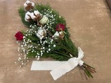 11月のおすすめ「ヒバ」